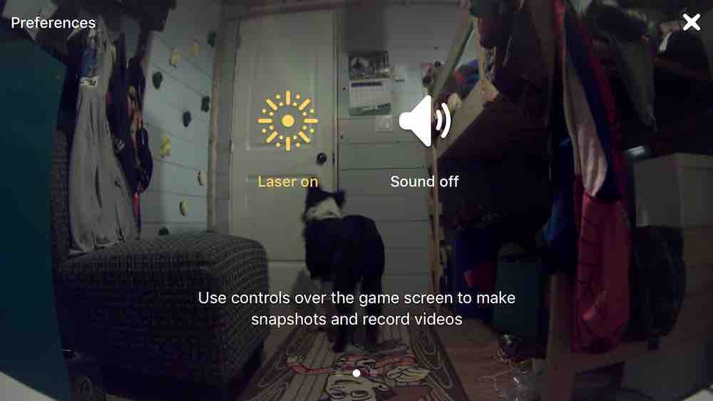 petcube-play-app-screen-shot