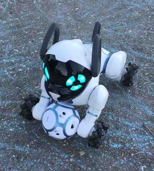 CHiP the robot dog