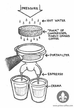 Anatomy of Espresso Machine