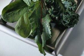 kale spinach vega one 