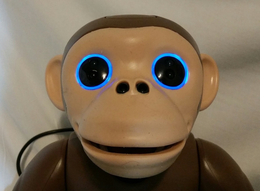 zoomer-chimp-charging-eyes