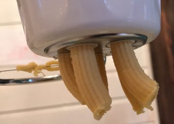 pasta dough recipe