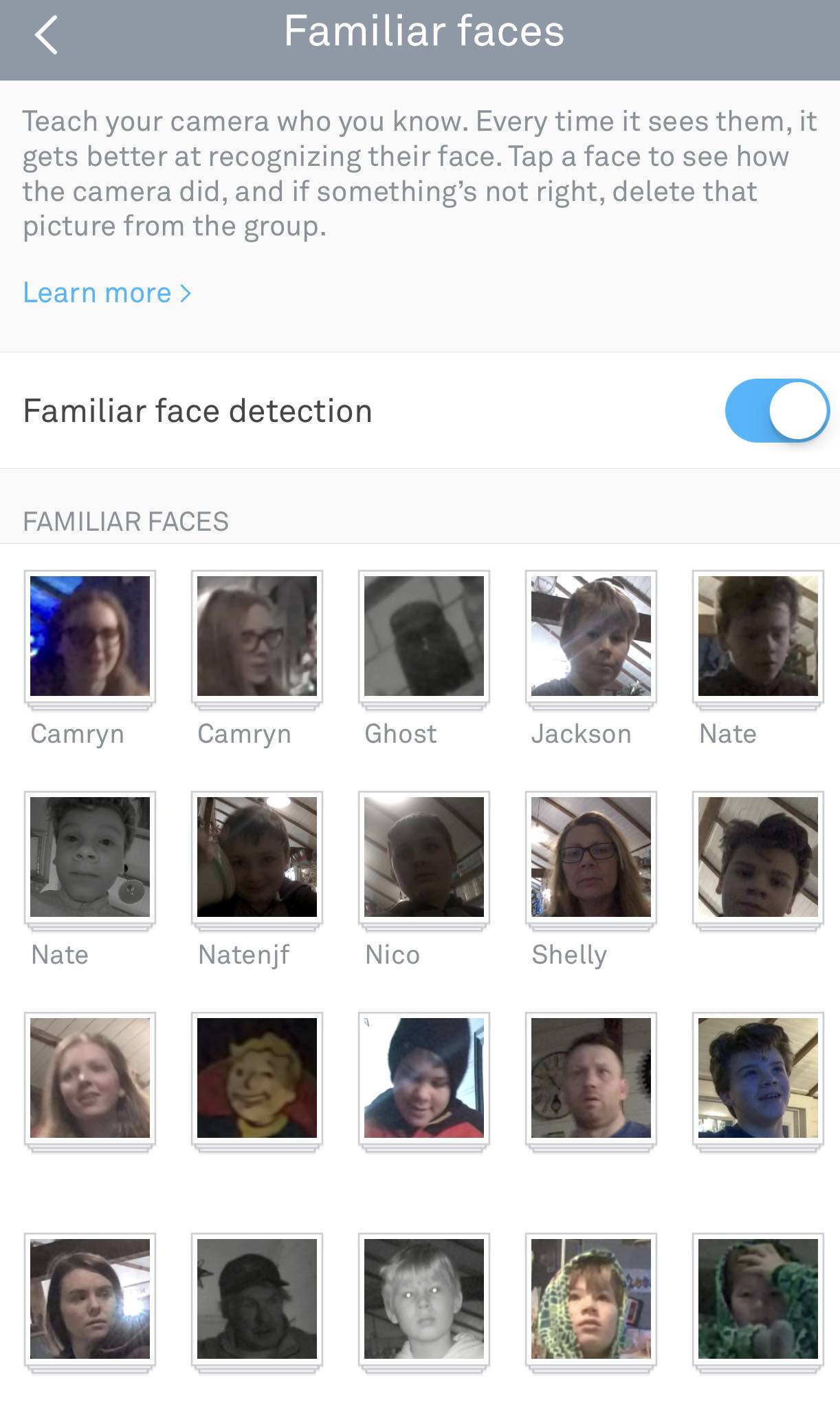 Facial detection Nest Cam IQ