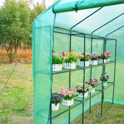 greenhouses and garden shelters - outsunny greenhouse flowers inside