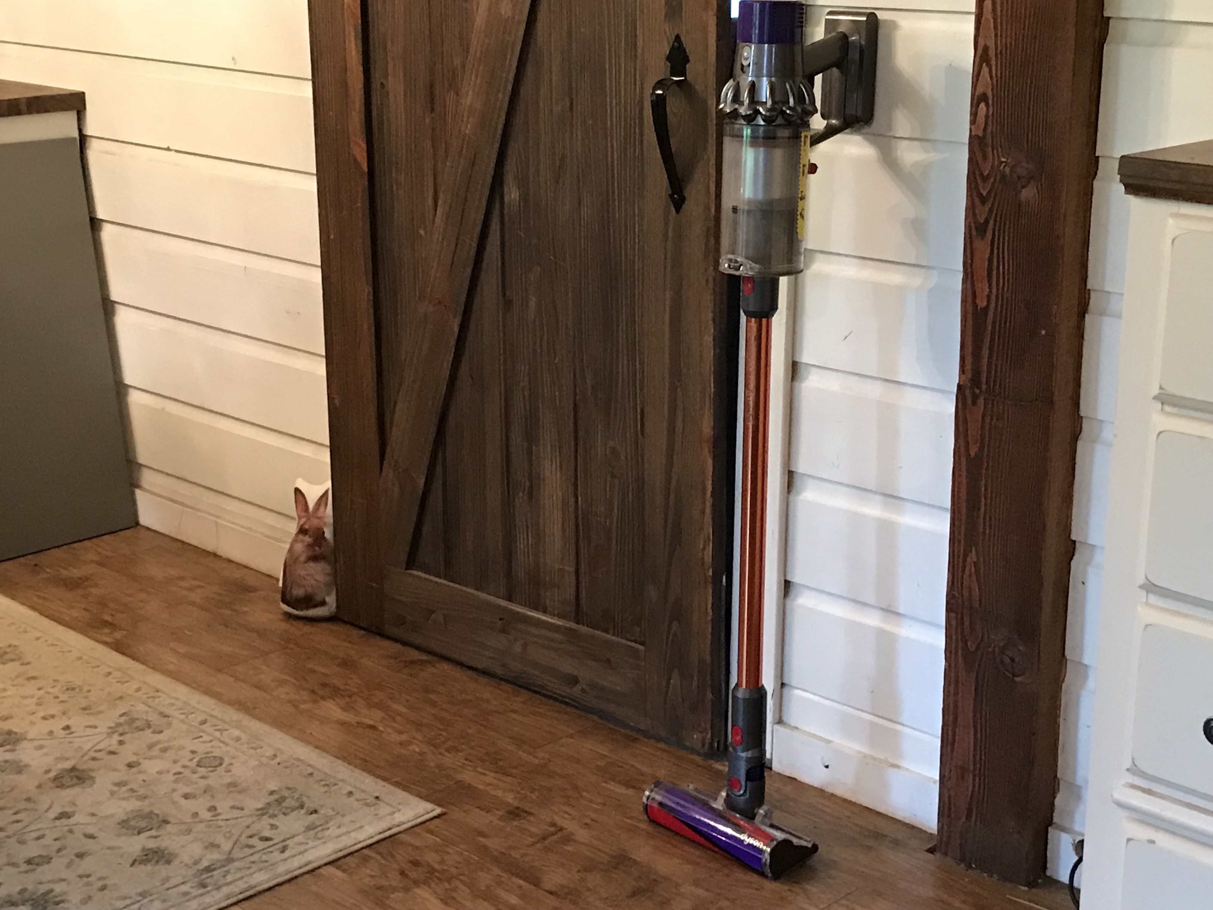 Dyson V10 Absolute Stick Vacuum Cleaner Review