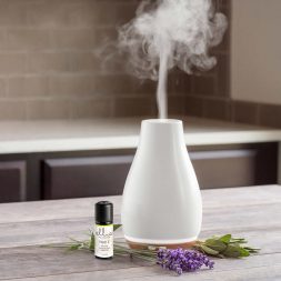 Homedics aromatherapy