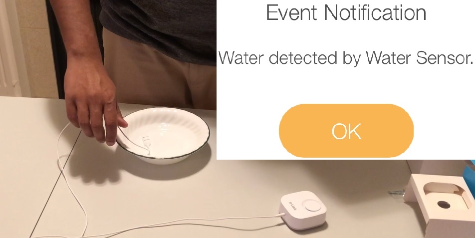 D-Link Wi-Fi Smart Water Sensor Test