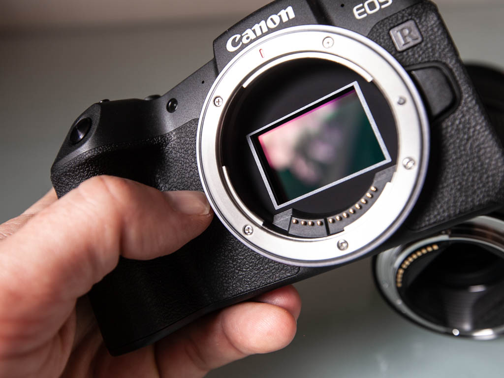 A photo of a hand holding the Canon EOS RP camera without a lens