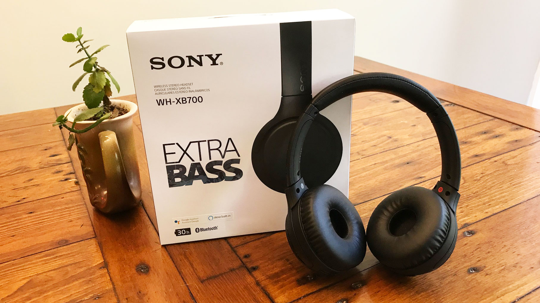 Sony EXTRA BASS WH-XB700 Wireless Headphones