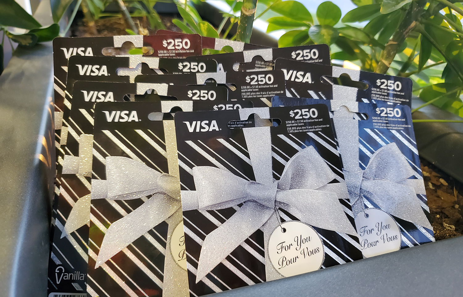 Image of the Vanilla Visa Prepaid card contest prizes