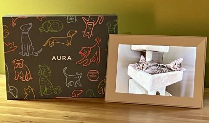Aura Buddy review