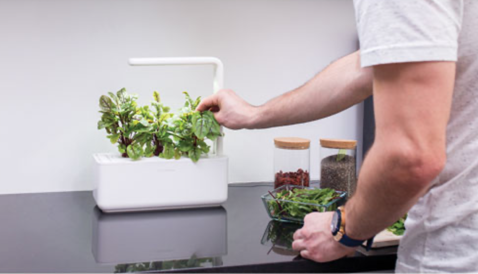 Click and Grow Indoor Smart Garden