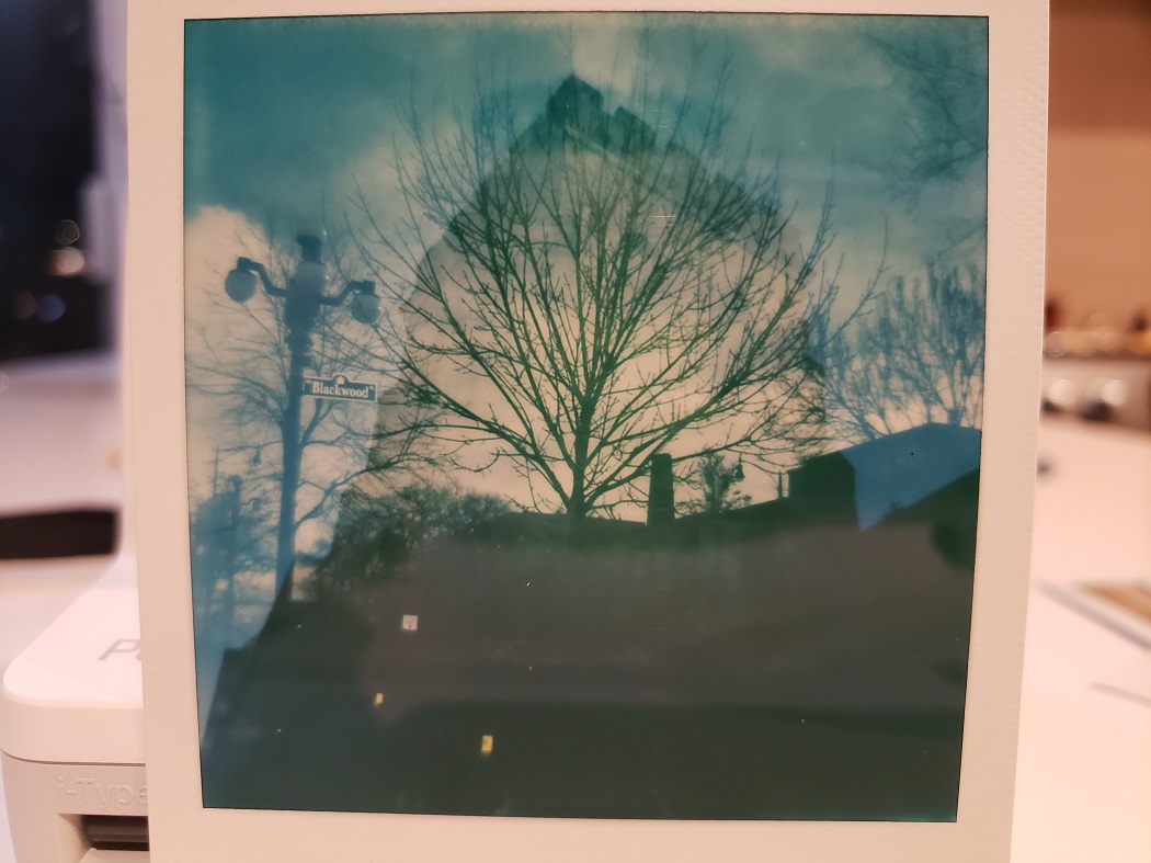 image of a double exposed Polaroid photo of a tree against a building