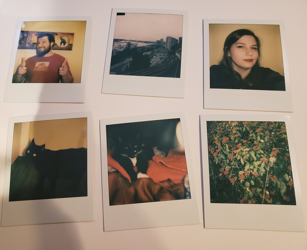 image of 6 Polaroid photos
