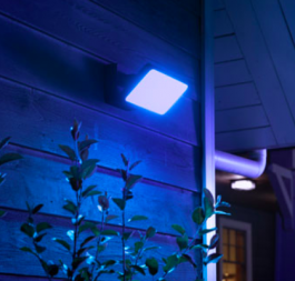 Philips Hue Econic Discover LED Smart Outdoor Floodlight