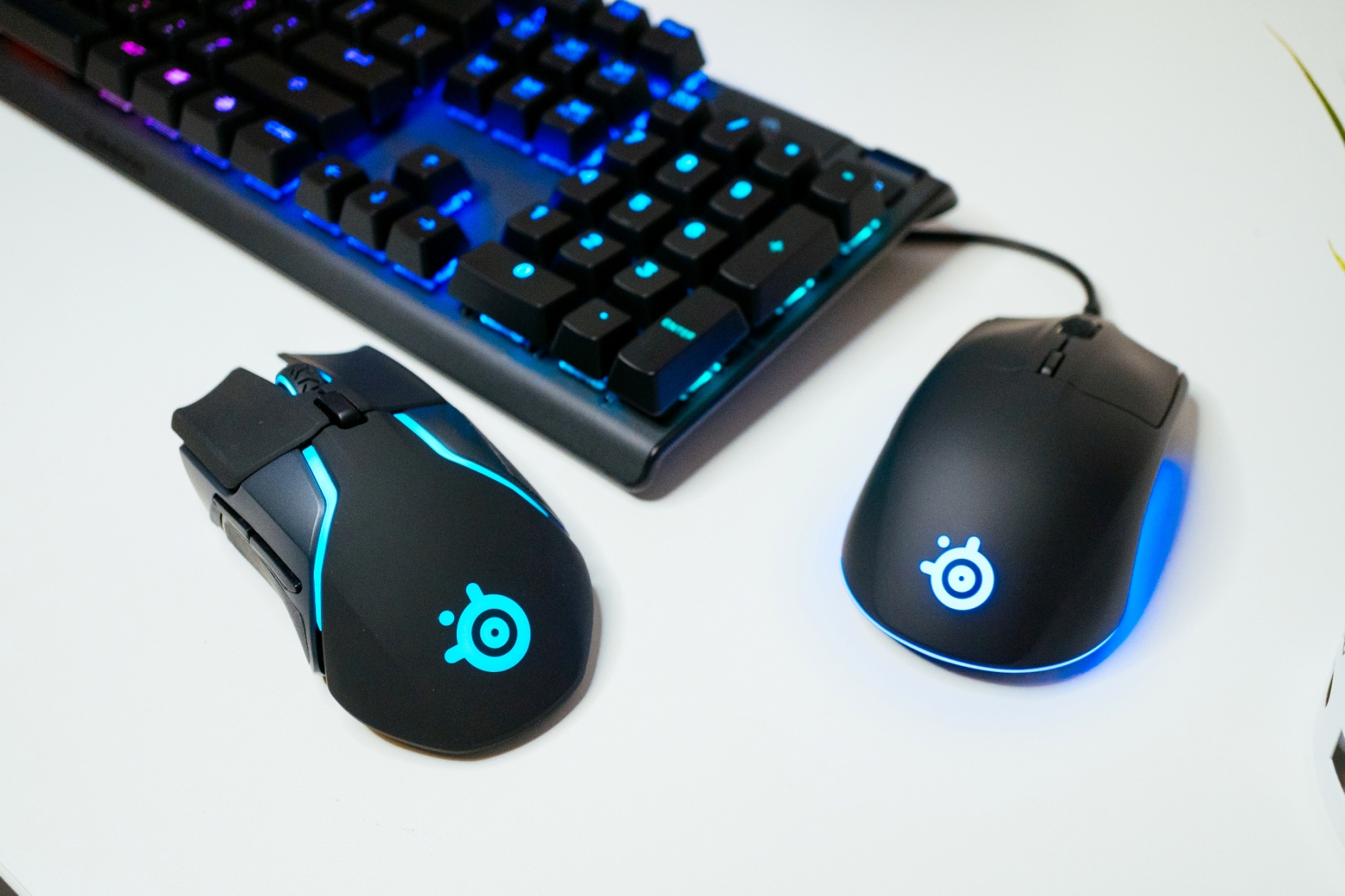 SteelSeries Rival 3 and Rival 650