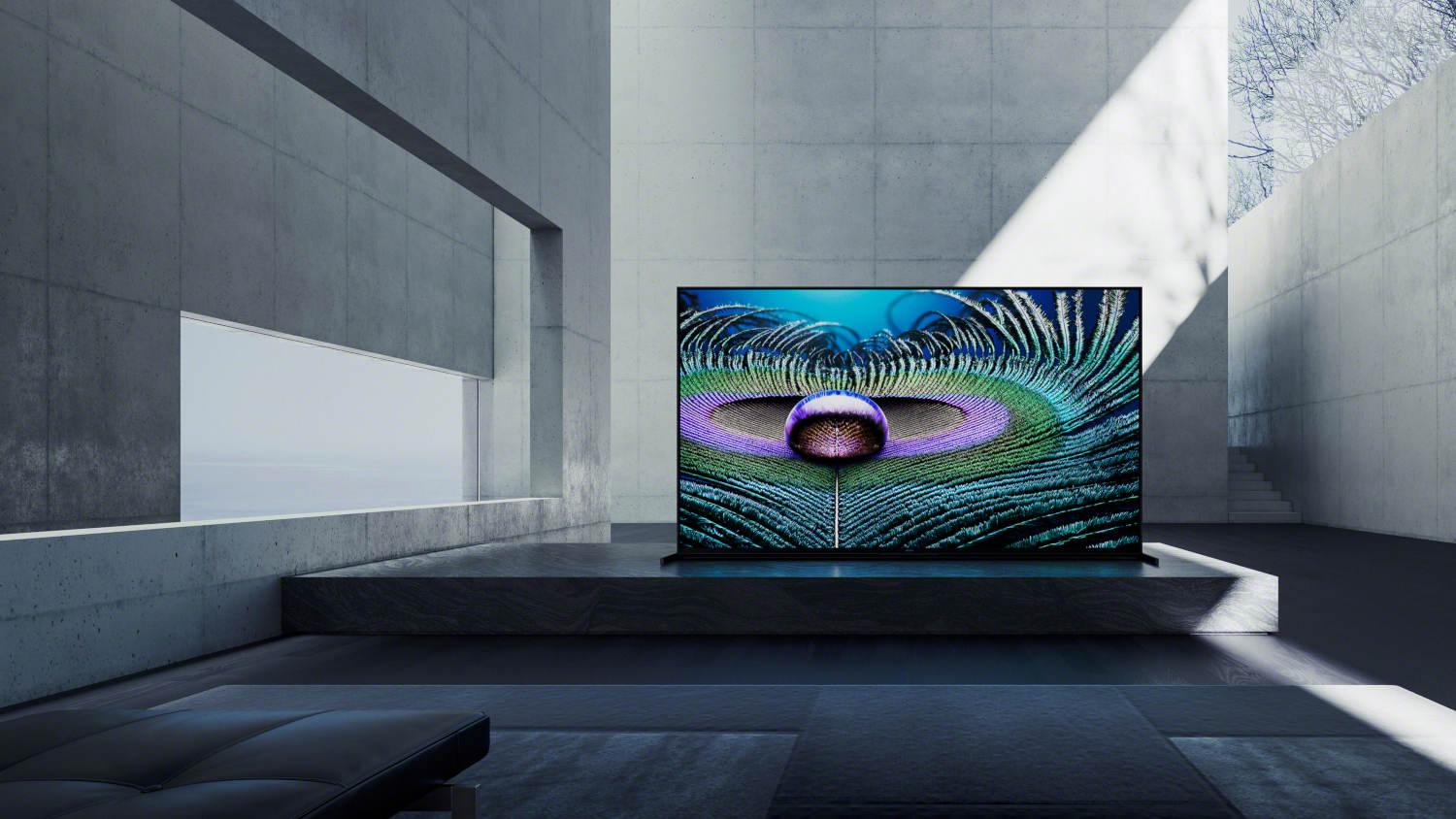 Best TVs of the year 2021