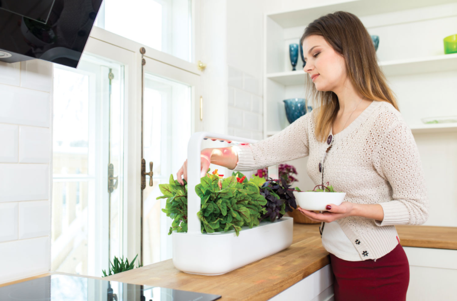 Woman watering a smart garden in the kitchen