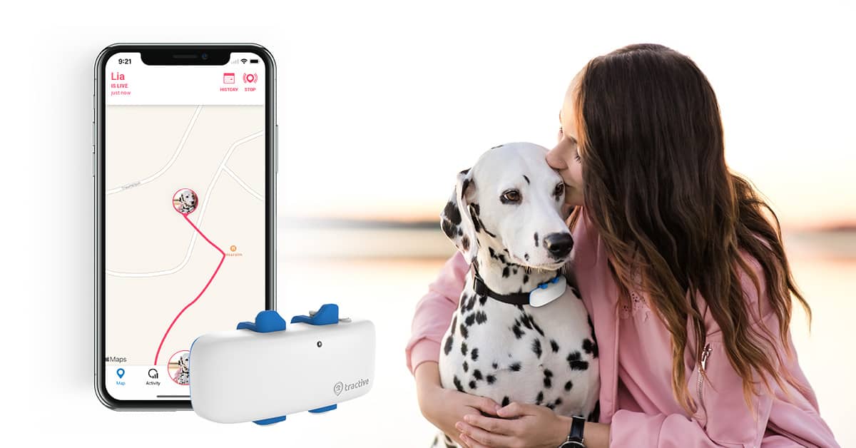 pet wearables and tech