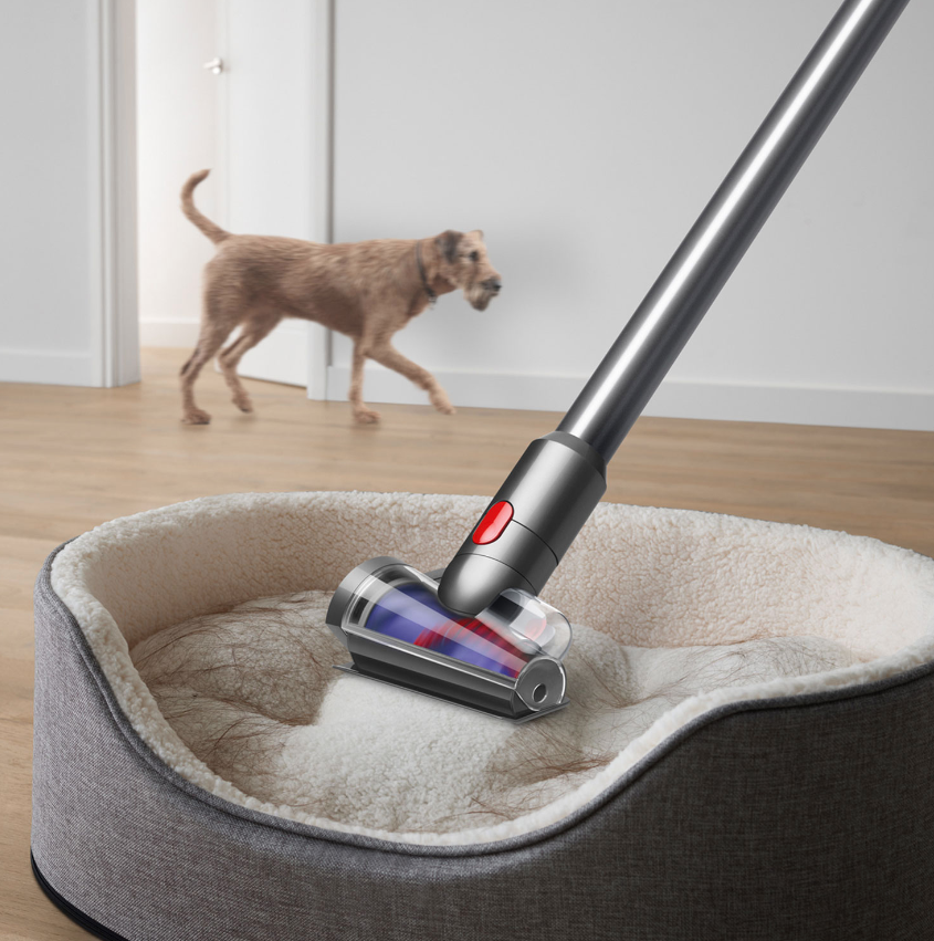 Dyson V12 Detect pet hair - cleaning