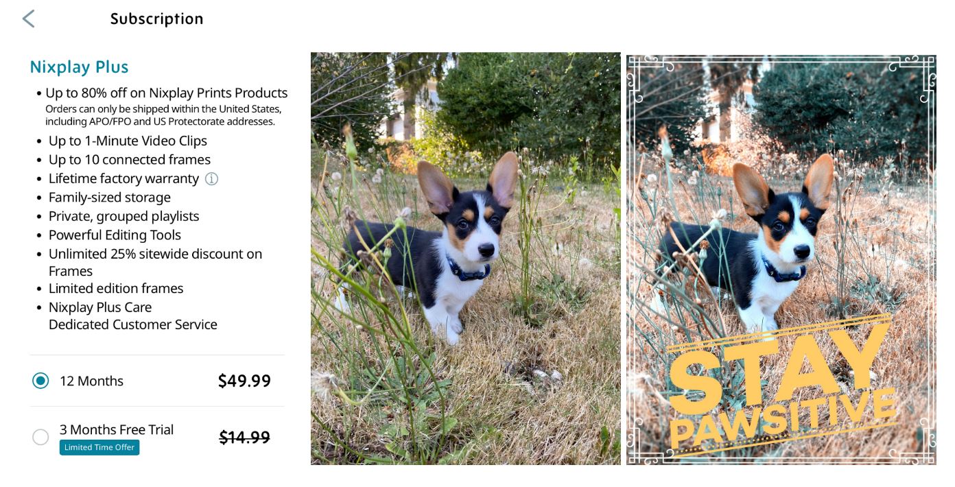 Nixplay Touch 10 digital smart frames review Best Buy Blog