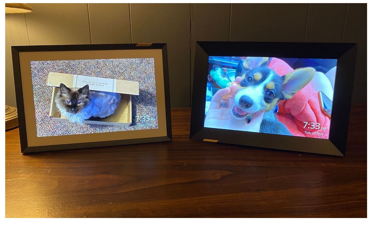 Nixplay Touch 10 новых и классических рамок в ландшафтном режиме на коричневом столе с изображением кота на одном и собаки на другом
