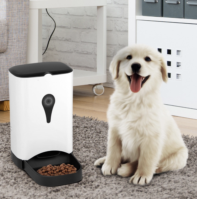 A dog beside the Gymax automatic pet feeder
