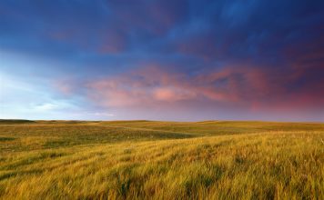 Saskatchewan recipes