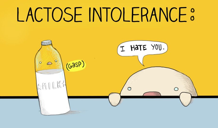 lactose intolerance cartoon