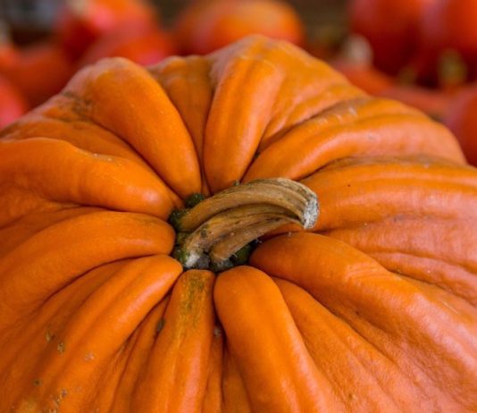 pumpkin spice recipes for fall 2016