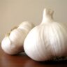 garlic recipes