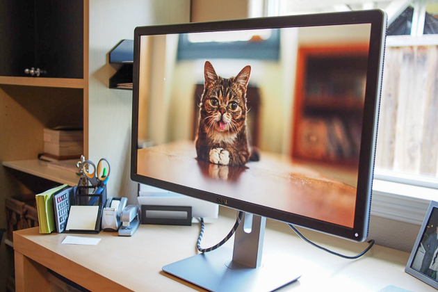 Faret vild Fem Stort univers What's the difference between LCD and LED monitors?