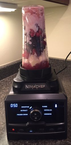 Ninja Chef DUO High Speed Blender Review
