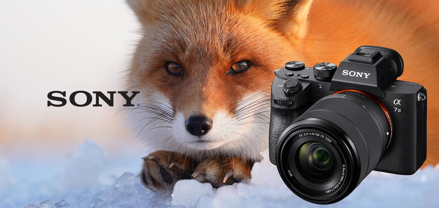 Sony a7 III Overview