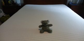 koala mattress review - koala mattress with koala stuffy