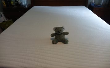 koala mattress review - koala mattress with koala stuffy