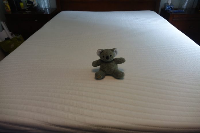 koala mattress review - koala mattress with koala stuffy