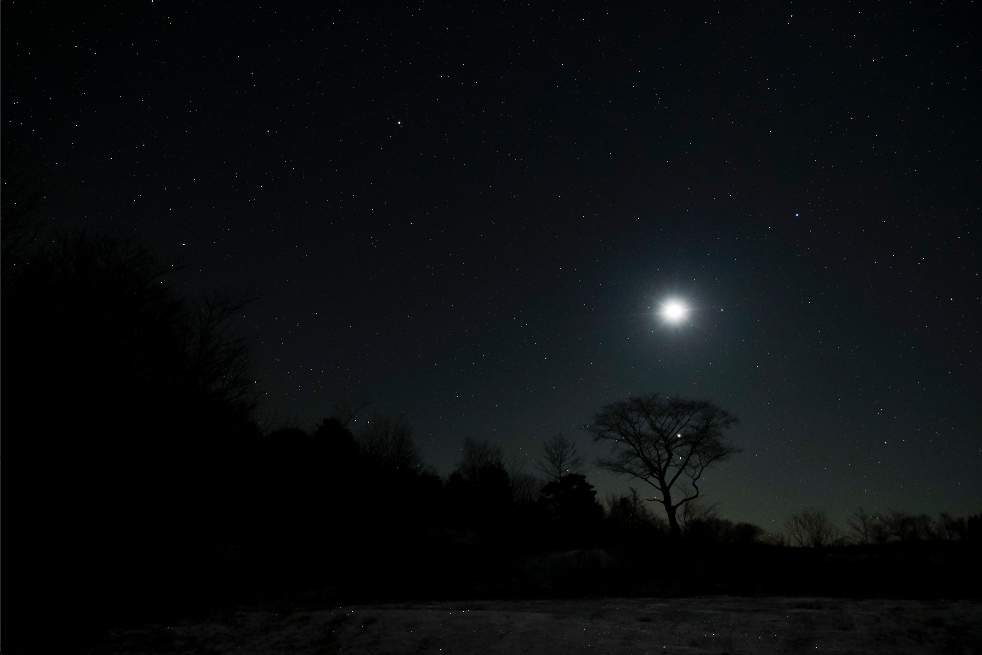 A photo of a landscape on a starry night