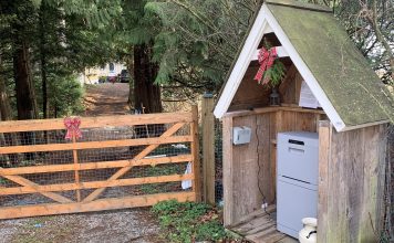 Danby Parcel Guard Mailbox Review