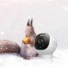 smart camera for canadian winter copy