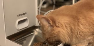 Dogness Smart Cam Pet Feeder Review