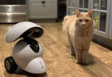 Dogness Smart Pet Robot Review