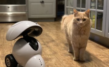 Dogness Smart Pet Robot Review