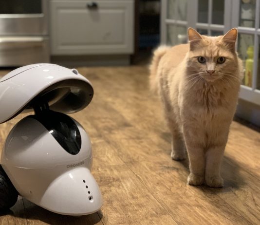 Dogness Smart Pet Robot Review
