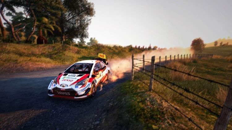 WRC 9 Dirt Post
