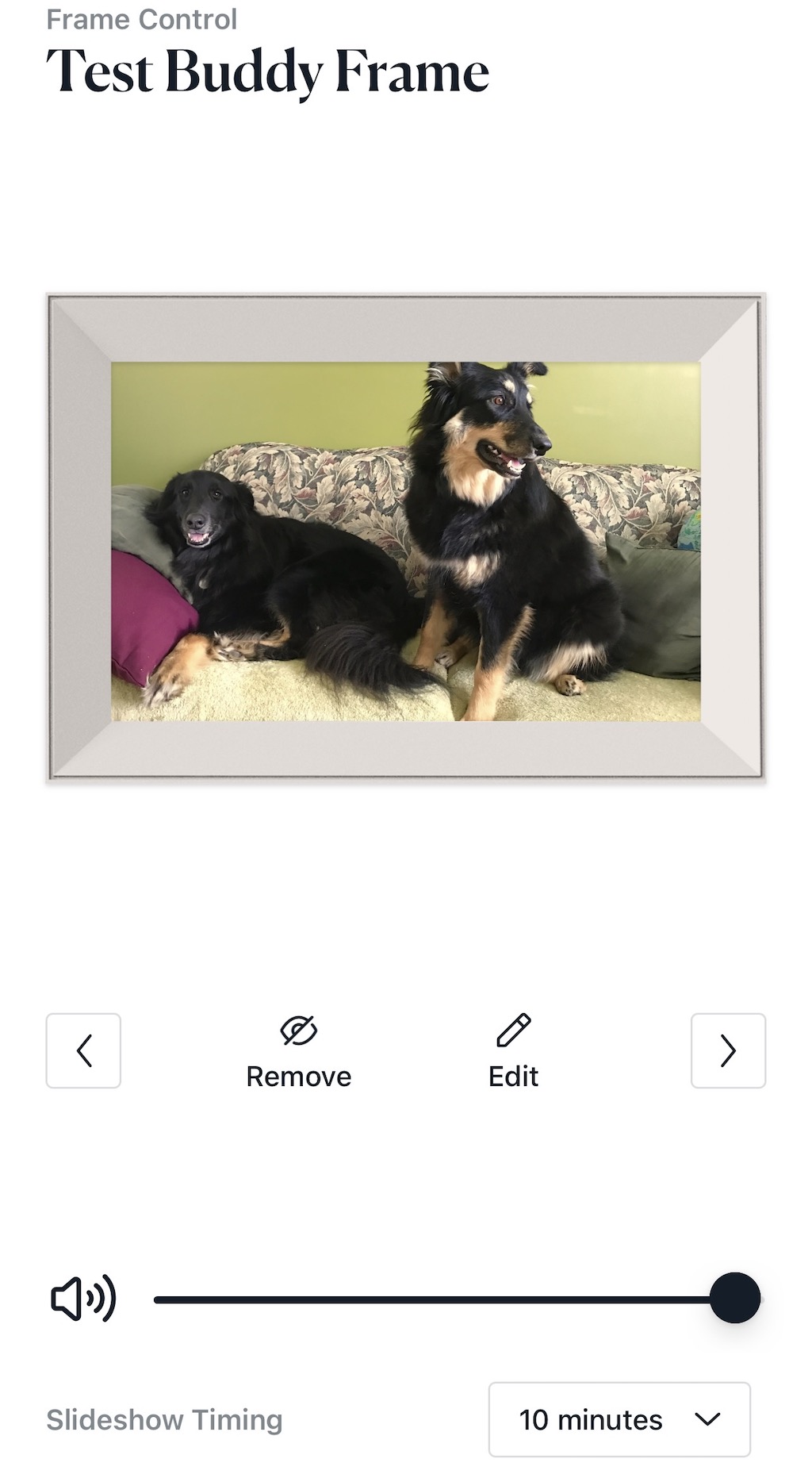 Aura WiFi Digital Photo Frames review Best Buy Blog