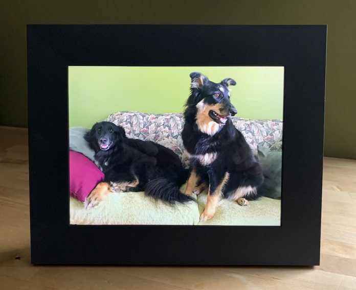 best buy digital picture frame reviews best buy digital picture frame reviews