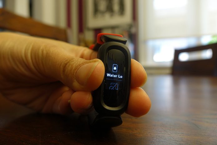 Fitbit Ace 3 Is A Great New Activity & Sleep Tracker For Kids