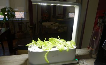 Grobo Start Smart Indoor Garden 3 weeks growth