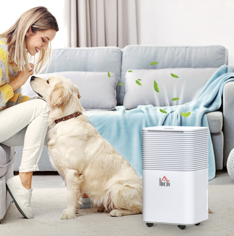 Homcom dehumidifier with woman and dog